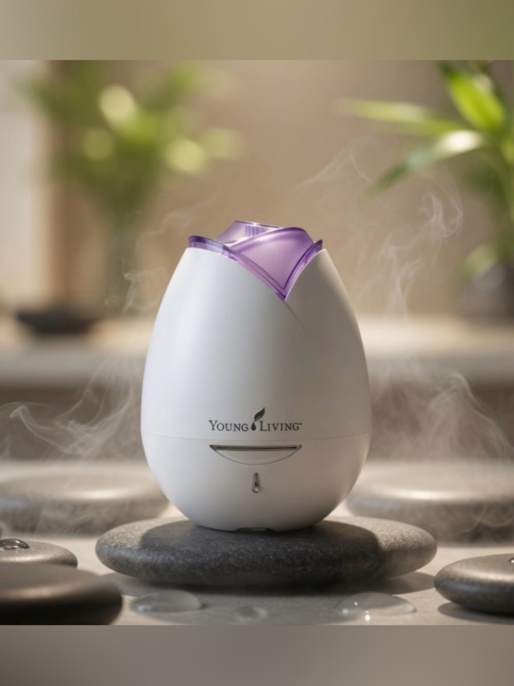 Young Living Essential Oils Purple Rose Tulip Ultrasonic Oil Diffuser